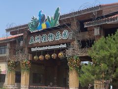 -南宫五洲植物乐园