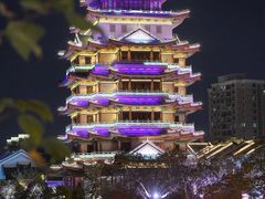 -合江楼
