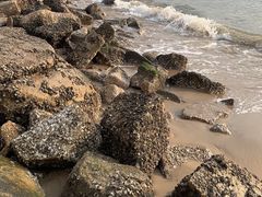 -白城沙滩