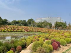 -春花秋色城市公园