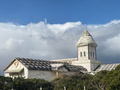 -涉地可支