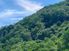 -白草畔自然风景区