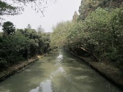 -同里国家湿地公园