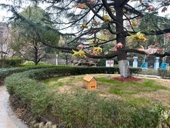 -汤山一号温泉度假区