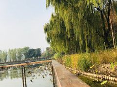 -昆山城市生态森林公园