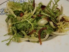鲜桃仁拌苦菊-大铁勺新津菜(东丽阳光新业广场店)