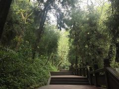 -青城山