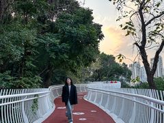 -金鸡山公园