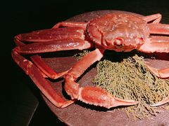 松叶蟹-花潮料理艺食馆(成都万象城店)