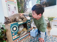 -小时光咖啡馆(北锣鼓巷店)