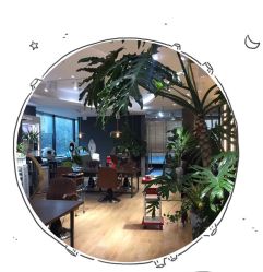 -意廊 Hair Salon