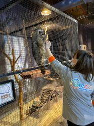 -酷嗒动物文化乐园(cutezoo西溪乐天城店)