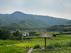 -莫干山风景区