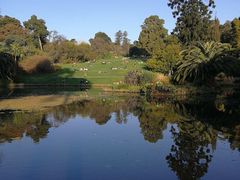 -墨尔本皇家植物园