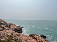 -广东惠东海龟国家级自然保护区