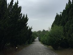 -秦始皇帝陵博物院-丽山园