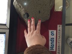 -大阪市立自然史博物馆