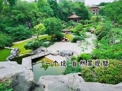 -上海吴淞炮台湾国家湿地公园