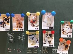 -藏猫猫咖啡主题馆(中央大道店)