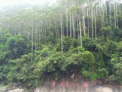 -四会奇石河风景区