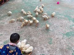 -前小桔亲子创意农场·草莓采摘·露营烧烤