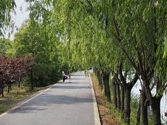 -广富林郊野公园
