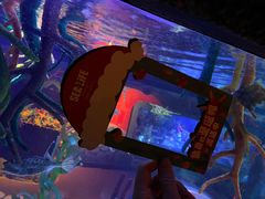 -沈阳海洋探索中心