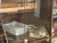 -Apple零售店(西单大悦城店)