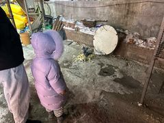 -鱼窝棚柴火铁锅炖(富山屯店)