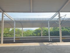 -大金山风景区