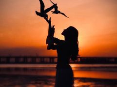 -宝安西湾红树林湿地公园