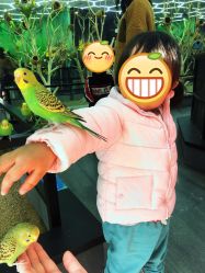 -未来动物城主题公园(正弘城店)