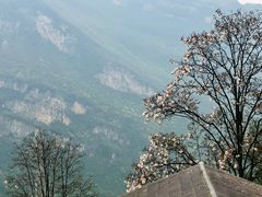 -九皇山景区