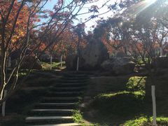 -广州市帽峰山景区