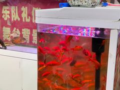 -循礼门鲜花花市(武汉循礼门店)