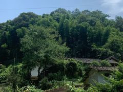 -大围山峡谷漂流