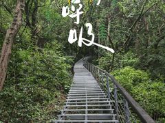 -南北湖风景区
