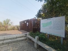 -仙岳公园