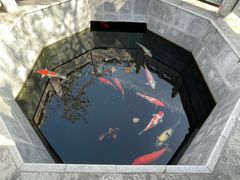 -西安市广仁寺