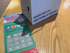 -WHEN PIGS FLY当猪飞