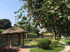 -天河儿童公园