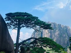 -黄山风景区