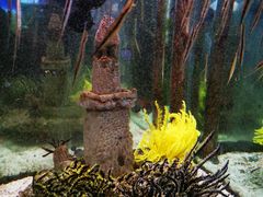 -太平洋海底世界