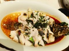 鲜花椒蒸桂花鲈-觅唐MITONG(鸟巢店)