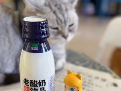 -平行世界·猫咖(首经贸店)