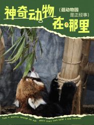 -Zoolung Zoolung动物主题公园(海信广场店)