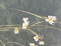 -丽江泸沽湖景区