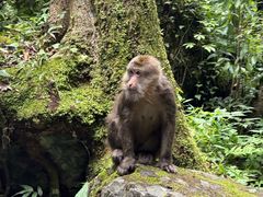 -西岭雪山大飞水景区