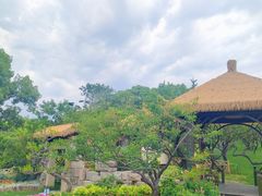 -无锡梅园公园