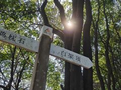 -火炉山森林公园